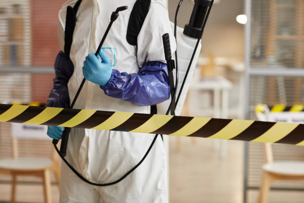 Professional Sewage Cleanup technician working in Milan, IN